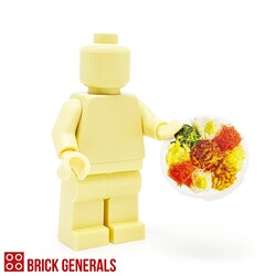 Custom Minifig Accessory Prosperity Toss (Yusheng)