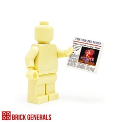 Custom Minifig Accessory The Straits Times