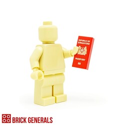 Custom Minifig Accessory Singapore Passport