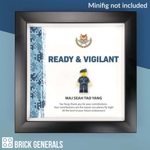 Air Force Display Frame (Frame only)